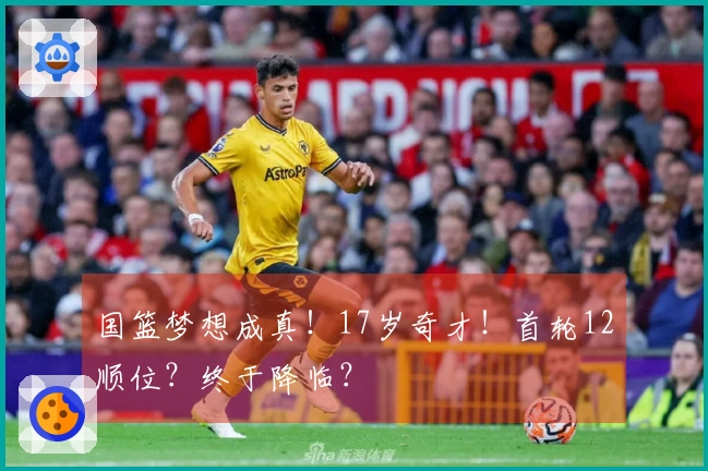 国篮梦想成真！17岁奇才！首轮12顺位？终于降临？